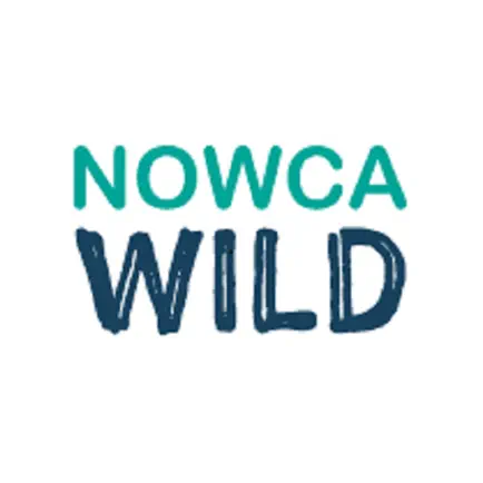 nowca